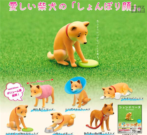 7.jpg 7.jpg