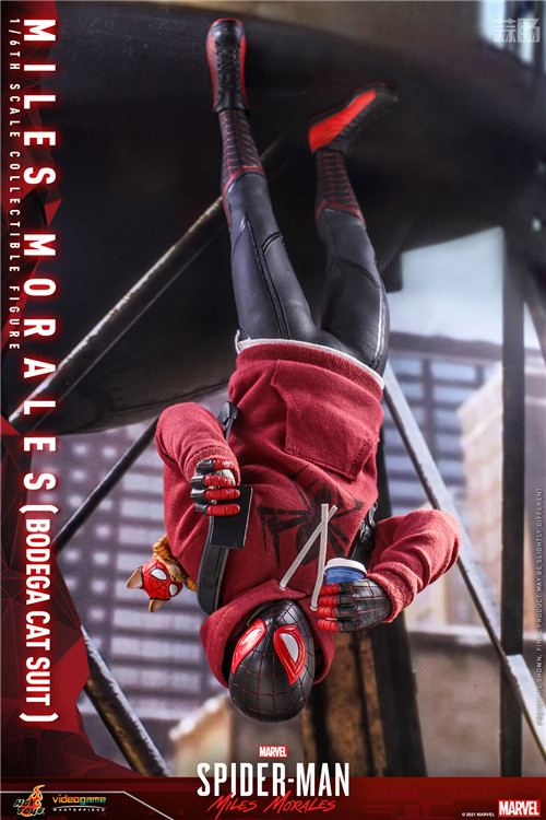 Hot Toys - SMMM - Miles Morales (Bodega Cat Suit) collectible figure_PR12.jpg