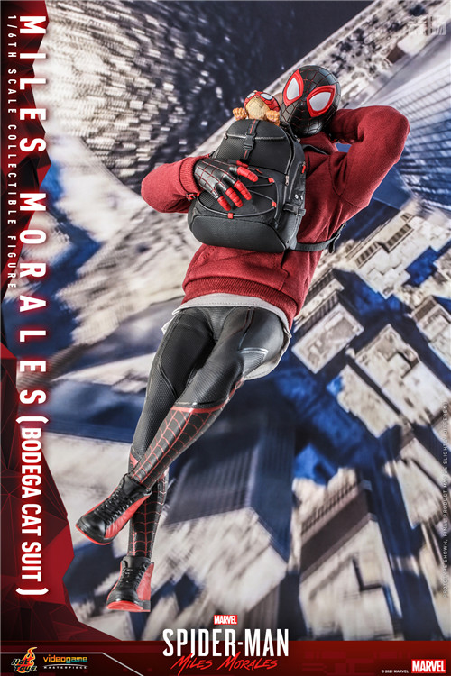 Hot Toys - SMMM - Miles Morales (Bodega Cat Suit) collectible figure_PR7.jpg