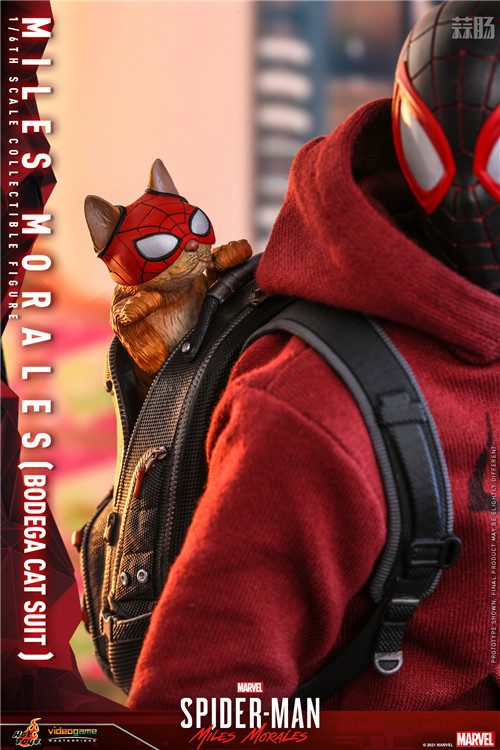 Hot Toys - SMMM - Miles Morales (Bodega Cat Suit) collectible figure_PR13.jpg