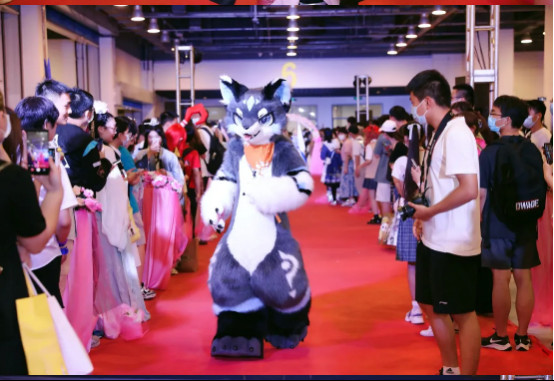 暑假嗨玩第四届IJOYxCGF北京大型二次元狂欢节新闻稿总结(定稿)2036.jpg