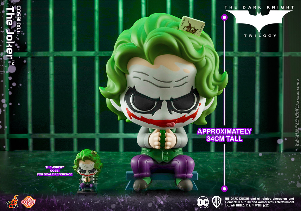CBX028_Joker_co *** iXL_H01.jpg