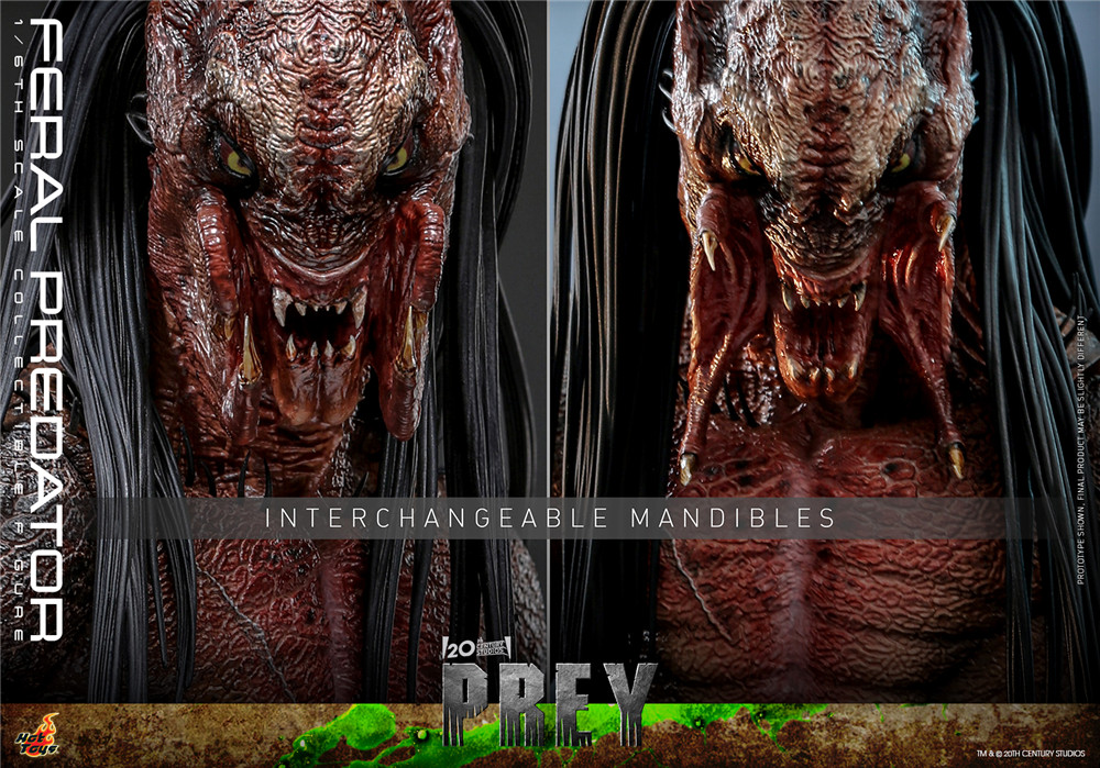 Hot Toys - Prey - Feral Predator_PR18.jpg
