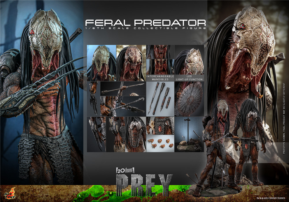 Hot Toys - Prey - Feral Predator_PR19.jpg Hot Toys - Prey - Feral Predator_PR19.jpg